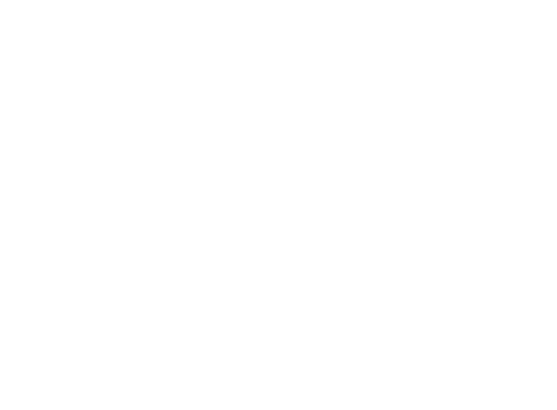 graphic revised